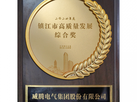 喜讯│365上市公司官网荣获2024年度镇江市高质量发展综合奖
