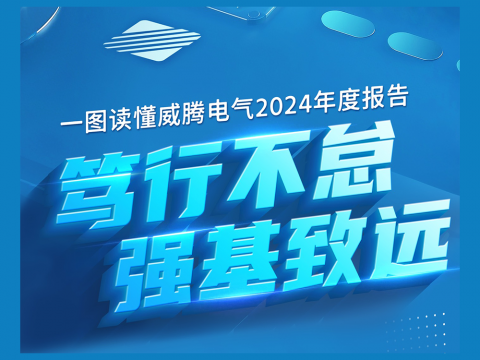 一图读懂365上市公司官网2024年度报告